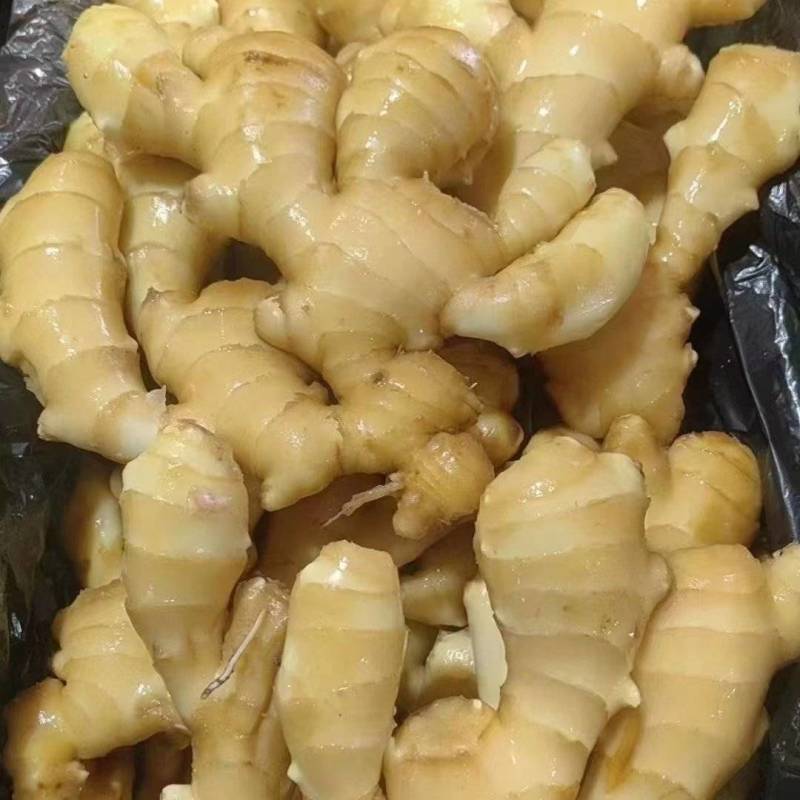 生姜供应产地一手货源全国发货供应市场电商地摊食品厂