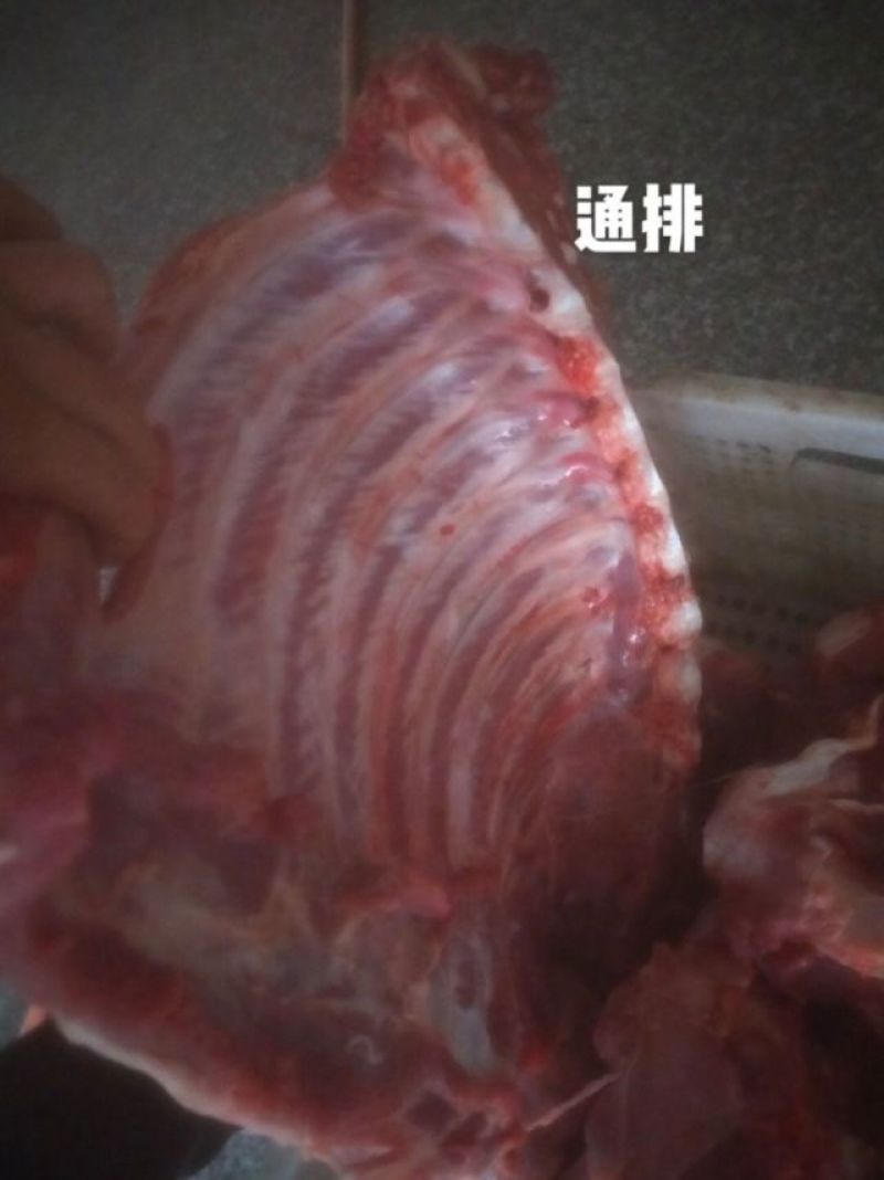 【鲜美多汁】精选排骨，新鲜直供，健康美味，快来尝鲜！