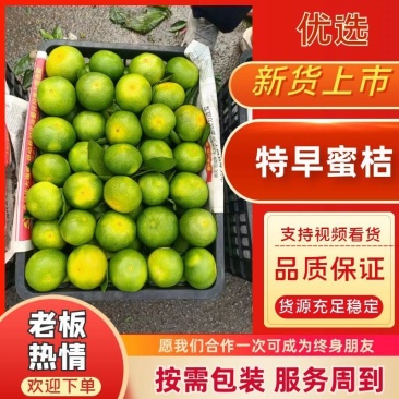 特早蜜桔，己上市，果皮细腻，产地直供，提供洗果，打腊，