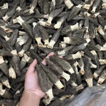 羊肚菌头茬细纹羊肚菌干货产地直销各种规格香味浓郁足干货