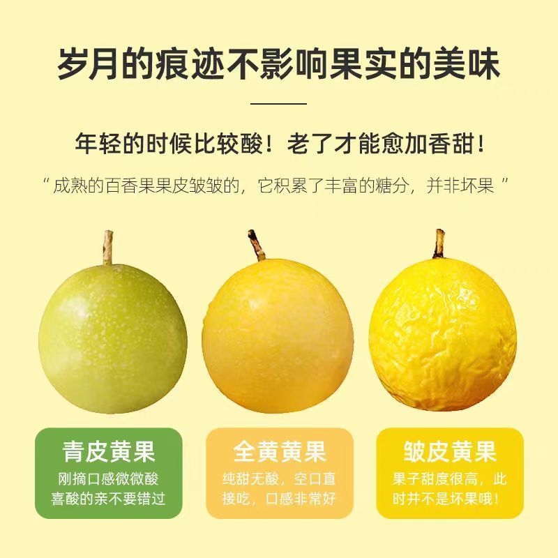 钦蜜9号黄金百香果纯甜新鲜当季孕妇水果鸡蛋