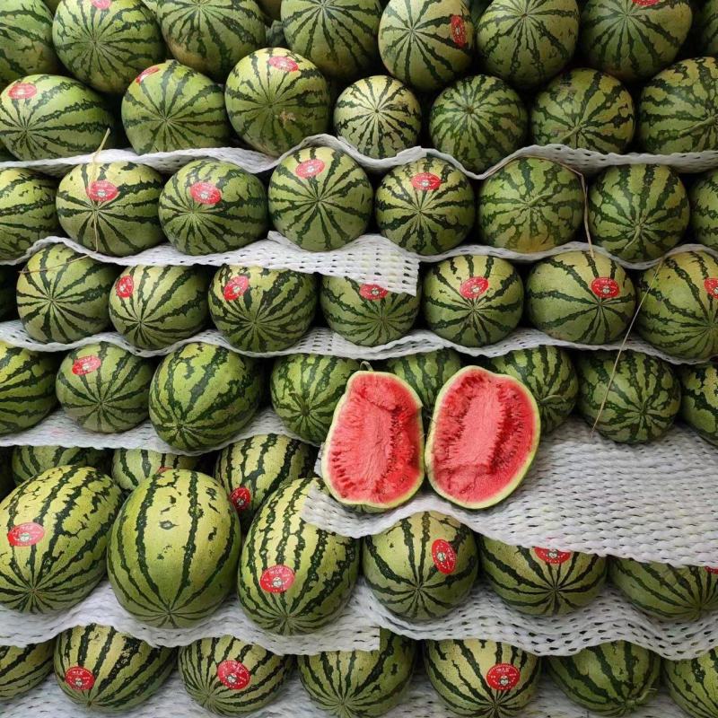 宁夏西瓜大量有货