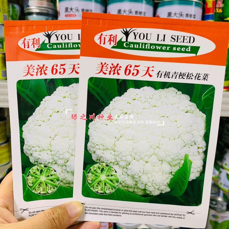 美浓65天花菜种子青梗松花菜种子花球松大台湾原种繁育