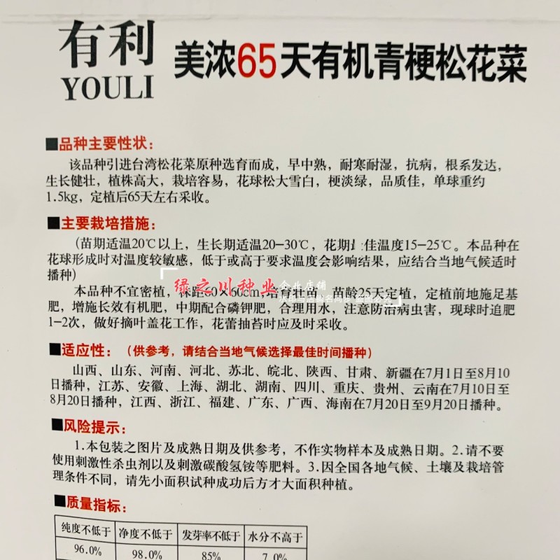 美浓65天花菜种子青梗松花菜种子花球松大台湾原种繁育