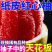 广西红心蜜柚红肉柚子三红蜜柚孕妇应季新鲜水果整箱批发