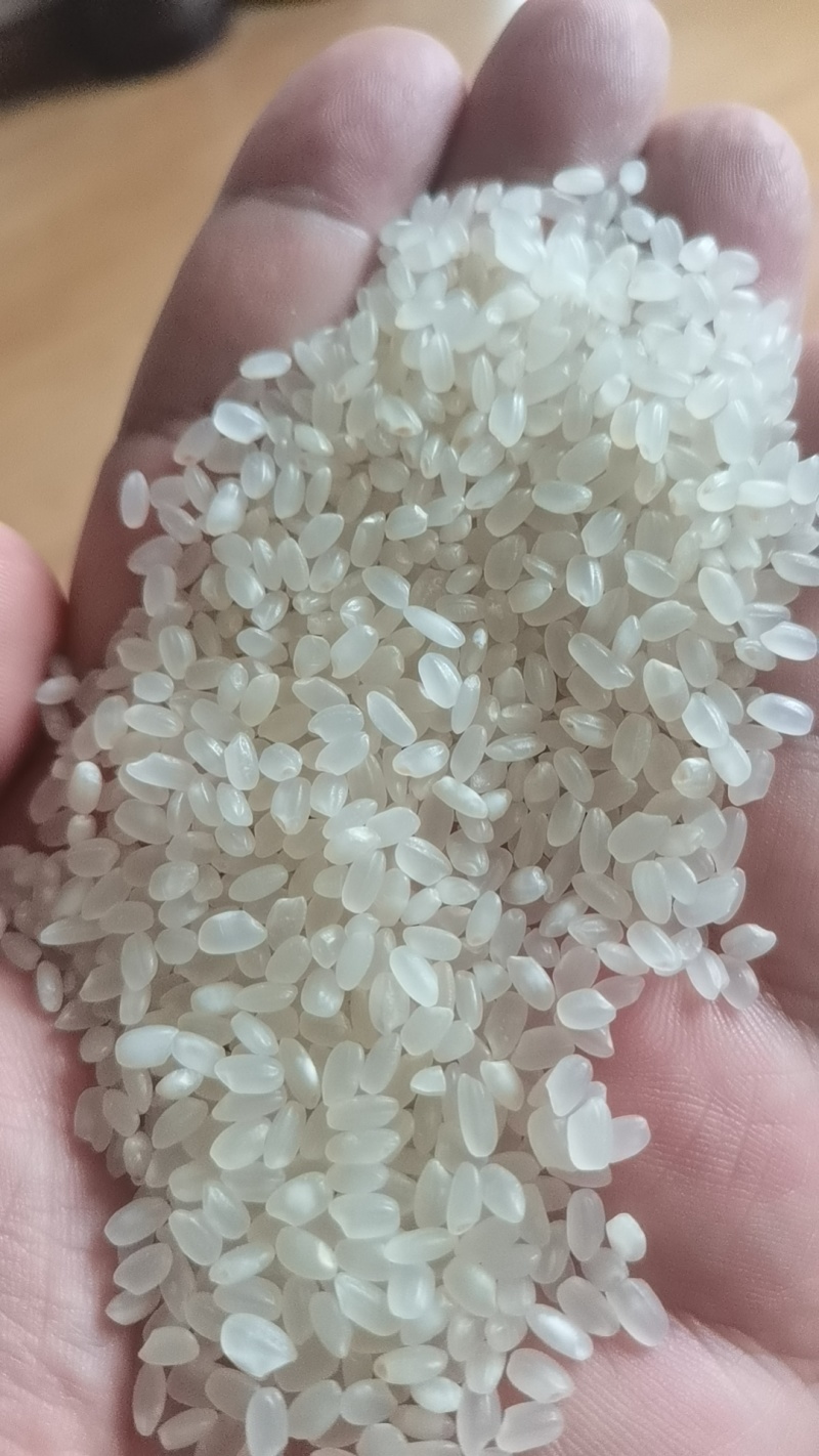 23年东北珍珠米