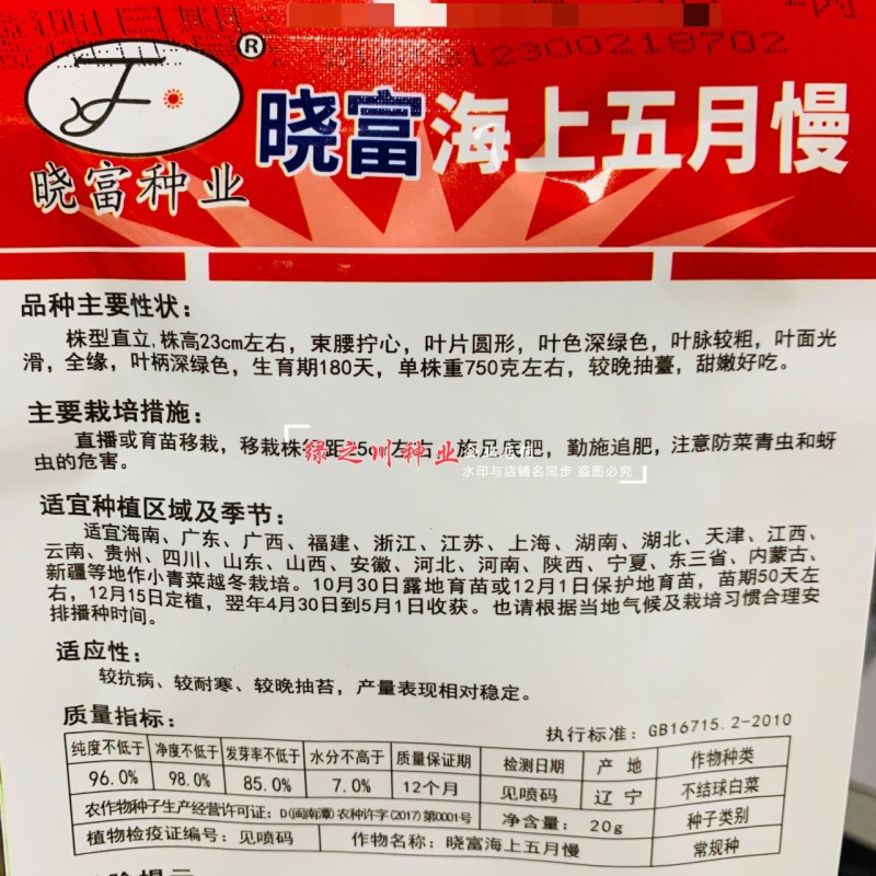 晓富海上五月慢菜种子四季蔬菜种籽甜嫩好吃小青菜种籽小油菜