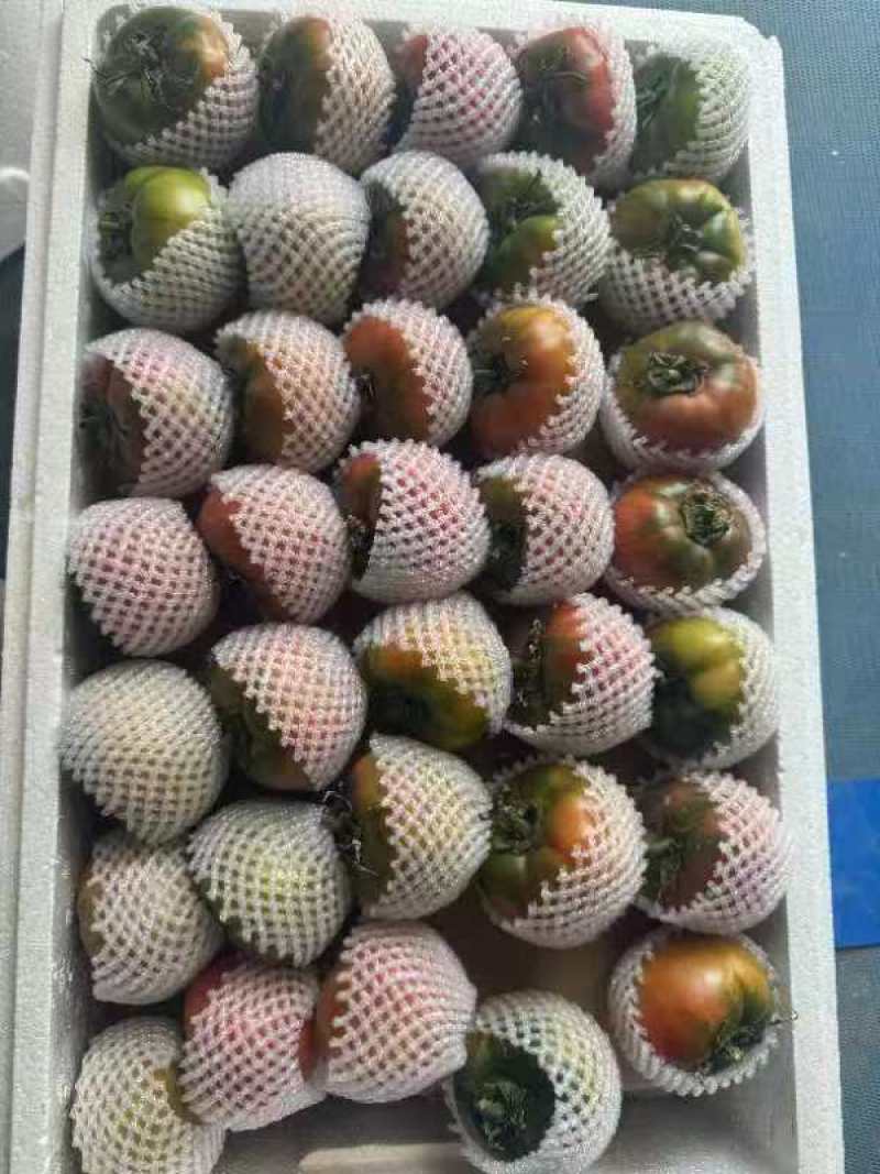 寿光西红柿绿腚西红柿铁皮西红柿价格实惠品质保证