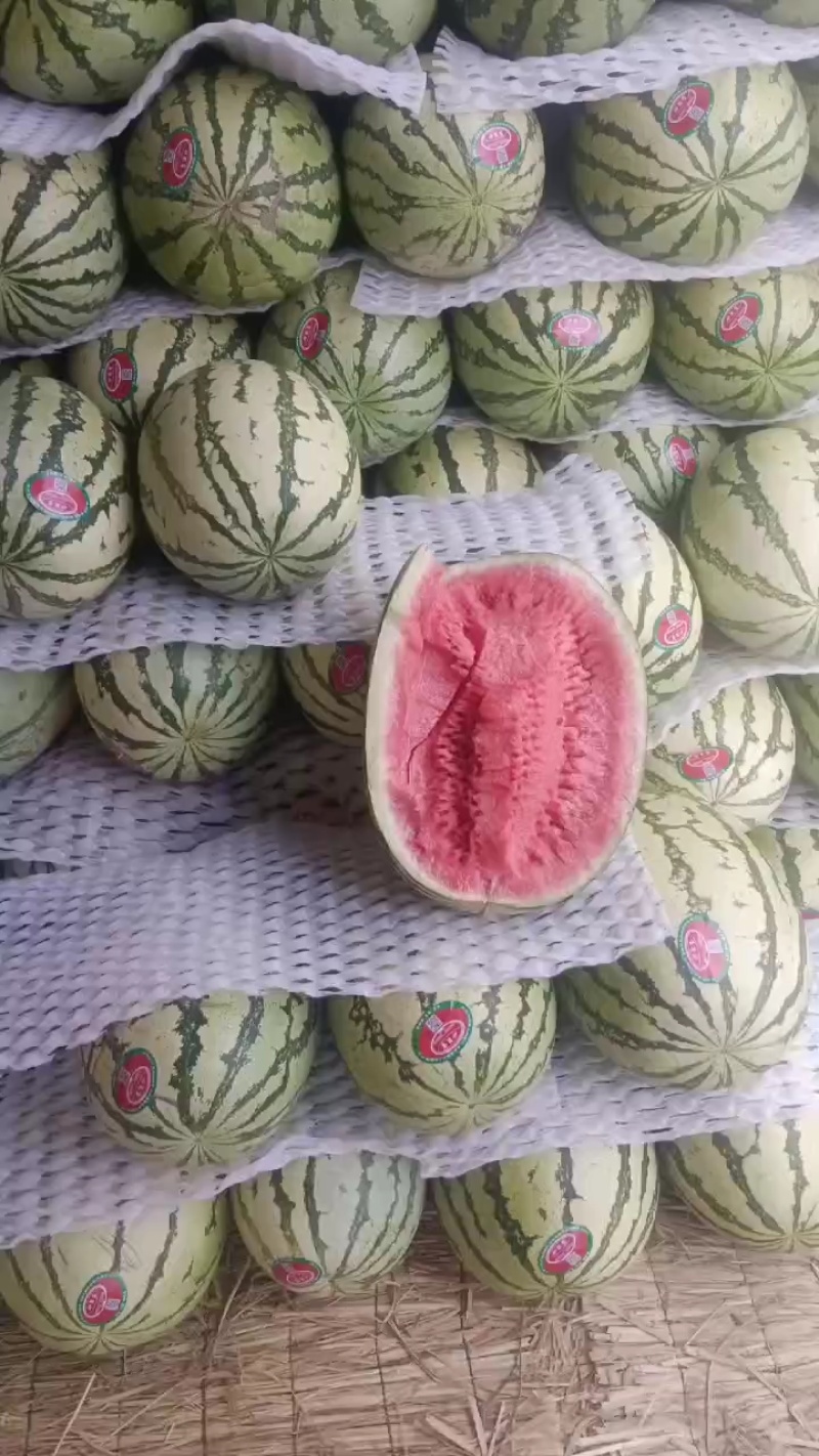 宁夏硒砂瓜