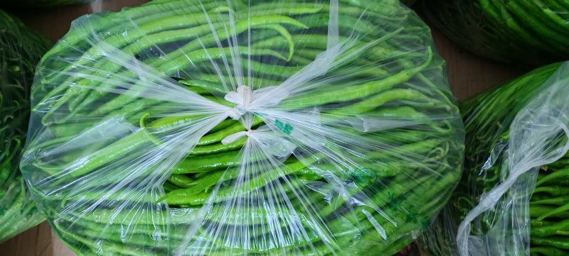 陕西精品青线椒秦岭山中的高山辣椒二荆条产区直发品质保障