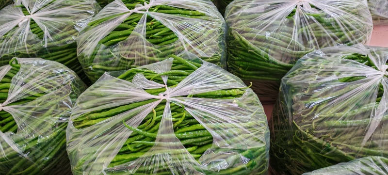 陕西精品青线椒秦岭山中的高山辣椒二荆条产区直发品质保障
