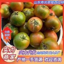 山东寿光西红柿草莓西红柿货源充足实力代发全国商超