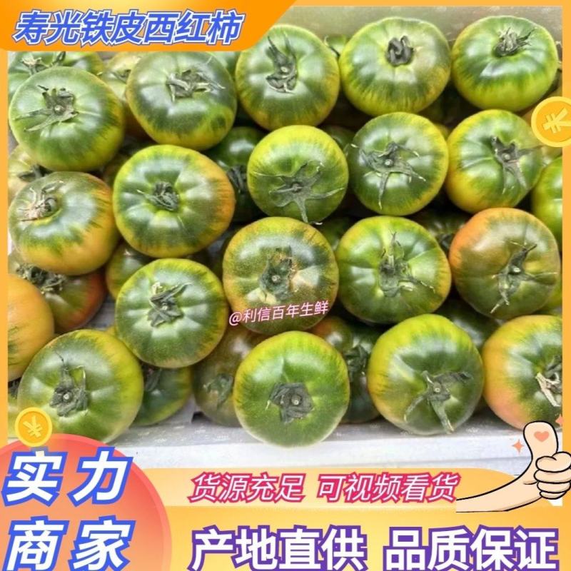 山东西红柿铁皮西红柿绿腚西红柿产地一手货源全国发货
