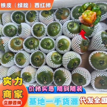 寿光西红柿绿腚西红柿铁皮西红柿价格实惠品质保证