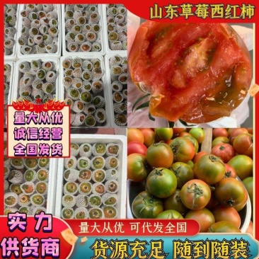 实力推荐山东西红柿草莓西红柿大量上市欢迎咨询价格优惠