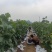 辽峰葡萄产地直发，一手货源，价格优惠，诚信经营，全国可发