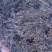 福建霞浦海带头干货特级厚实福建特级海带根特厚特级日晒海带