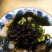 头水紫菜福建东山岛无沙免洗紫菜250克包装可折包即食批发
