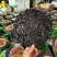 头水紫菜福建东山岛无沙免洗紫菜250克包装可折包即食批发