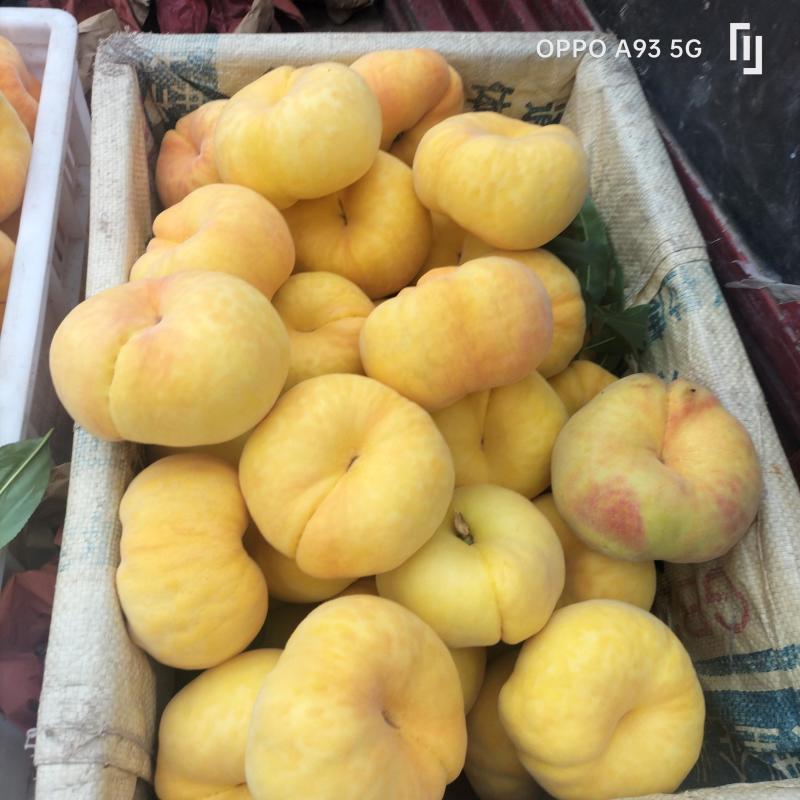 精品蟠桃黄金毛蟠十一大量现货保质保量对接商超市场等