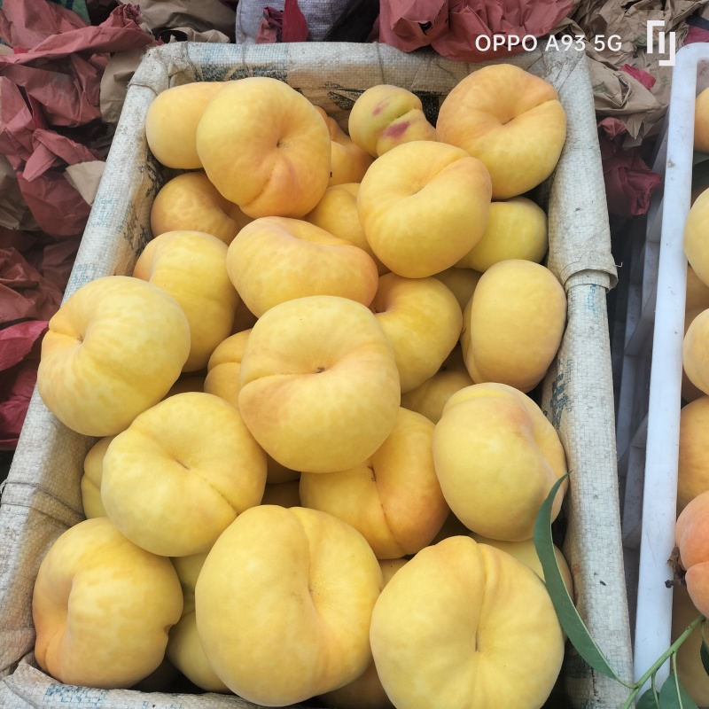 精品蟠桃黄金毛蟠十一大量现货保质保量对接商超市场等
