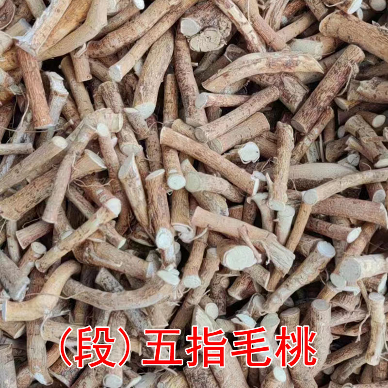 五指毛桃节