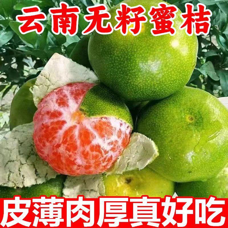 云南特早蜜桔，无籽无渣，皮薄口感好，现摘现发