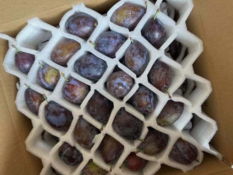 批发西梅李大量上市，量大的老板联系法兰西，