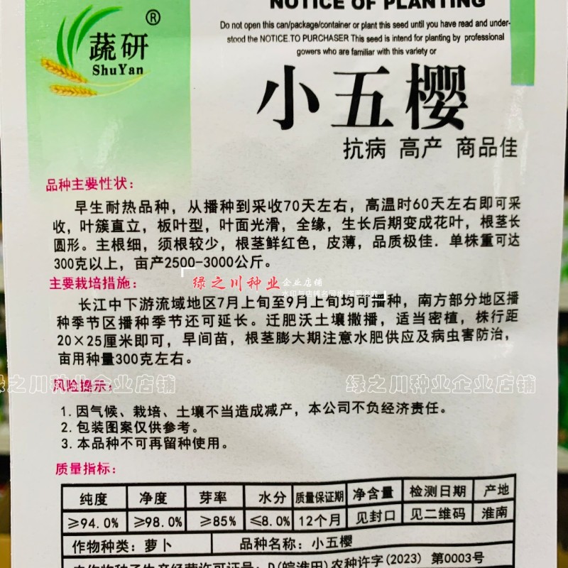小五樱萝卜种子早熟品种高产抗病红皮萝卜种子优质良种