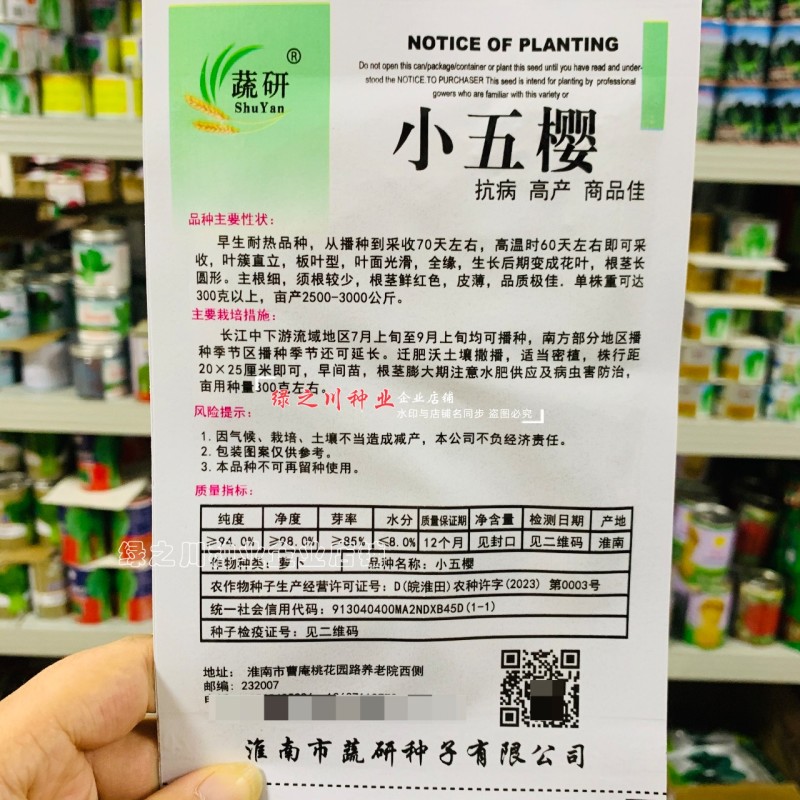 小五樱萝卜种子早熟品种高产抗病红皮萝卜种子优质良种