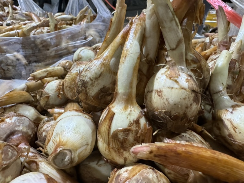 云南新鲜现挖茨菇白心慈姑自种万亩货源稳定全球发货