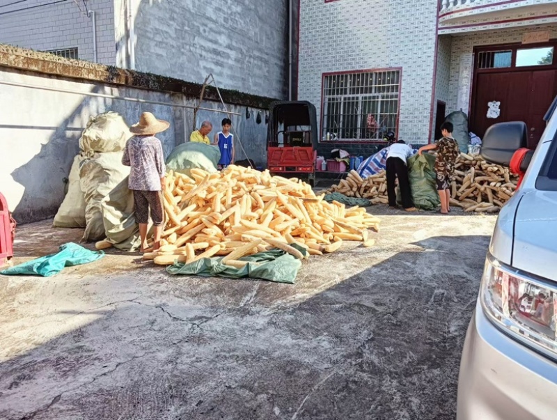丝瓜络46一斤50斤起批