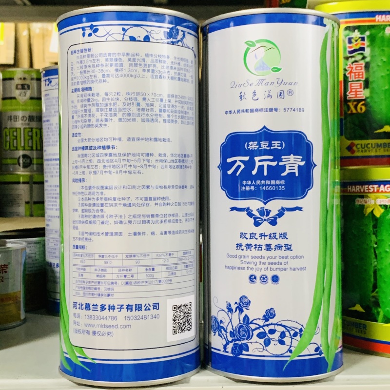 万斤青架豆王种子无筋豆种子无纤维抗病改良升级版四季豆种子