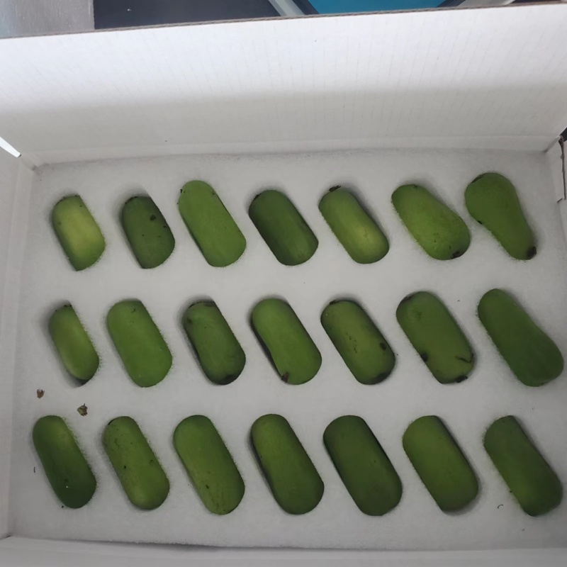 现货礼盒软枣猕猴桃，奇异莓，落地配，商超一件代发电商平台