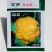紫色花菜种子橙色花菜种籽脆嫩蔬菜彩色花椰菜黄色紫色西兰花