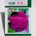 紫色花菜种子橙色花菜种籽脆嫩蔬菜彩色花椰菜黄色紫色西兰花