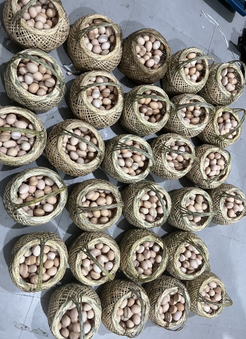 绿壳蛋农户一手货源保质保量供货价钱实惠