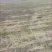 吉林白城20000亩土地200每亩每年20年