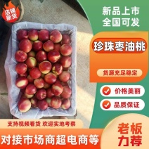 【推荐】珍珠油枣油桃陕西油桃基地直发一手货源价格美丽