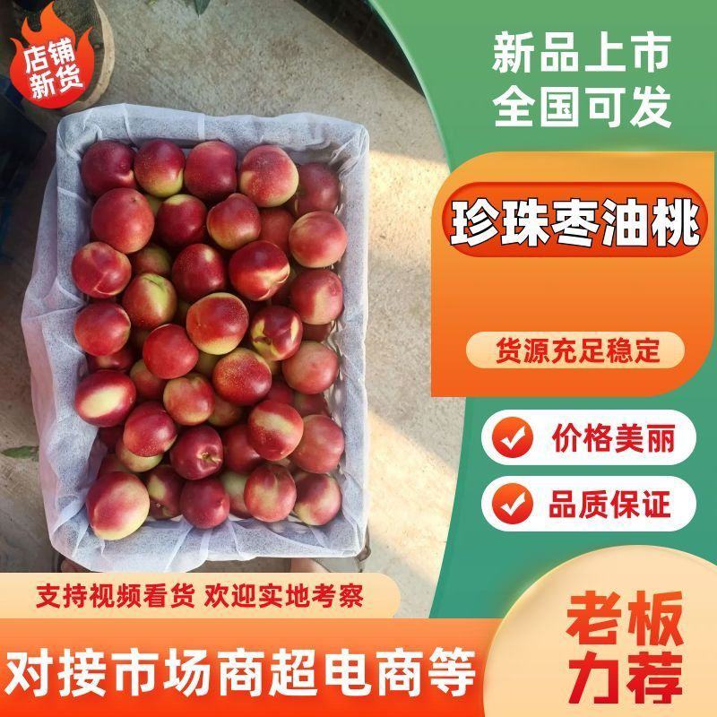 【推荐】珍珠油枣油桃陕西油桃基地直发一手货源价格美丽