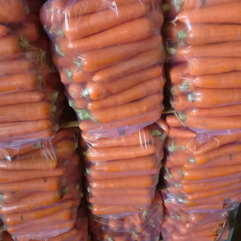 次品加工厂胡萝卜大量有货，一手货源，货源充足。