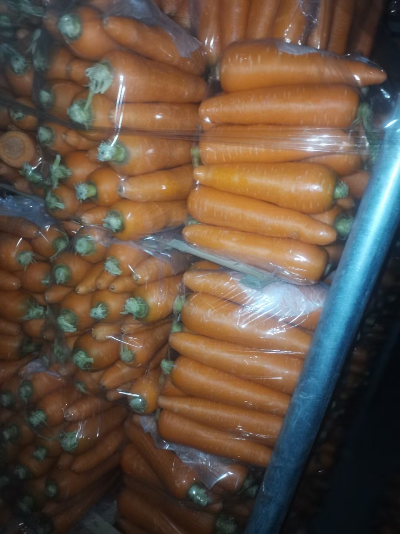 次品加工厂胡萝卜大量有货，一手货源，货源充足。