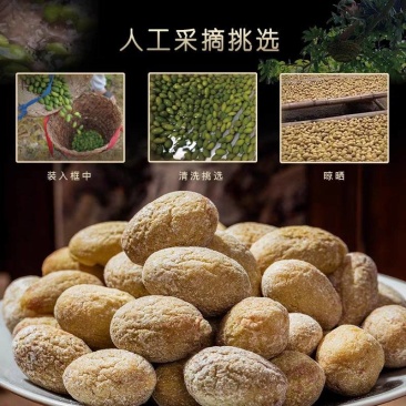 福建闽清特产全咸橄榄煲汤炖肉泡茶饮超咸橄榄