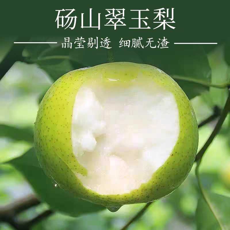 《翠玉梨》砀山翠冠梨/砀山梨/产地直发/量大价优