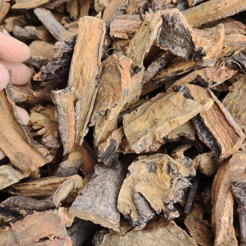 甘肃本地野生大黄，已切片，无硫，自然晾晒