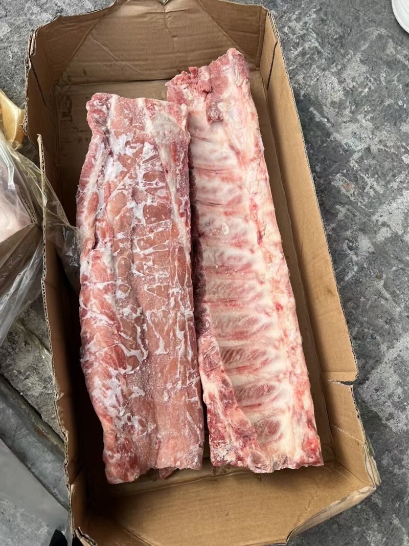 母猪多肉龙骨
