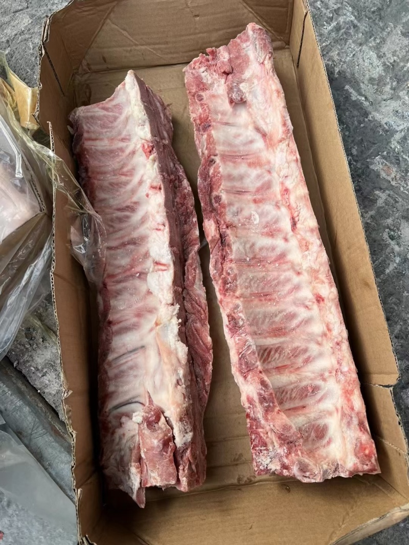 母猪多肉龙骨