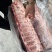 母猪多肉龙骨