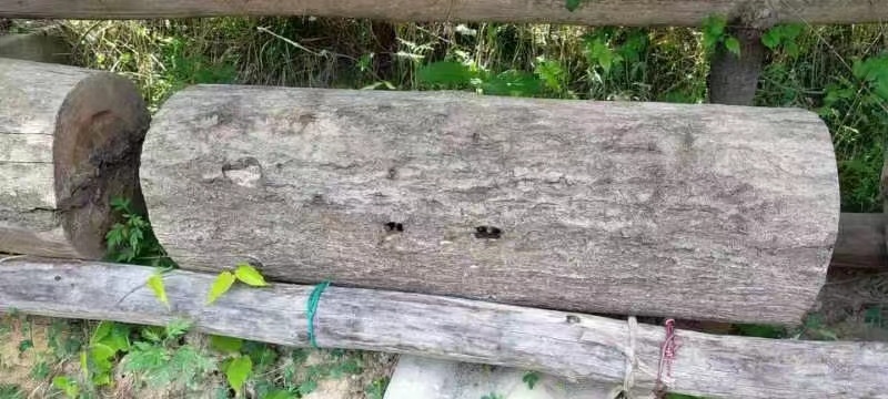 深山农家百花蜜自产自销质量保证批发零售皆可欢迎选购