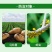 噻虫高氯氟杀虫剂叶蝉蓟马青虫叶蛾果蝇潜叶蛾